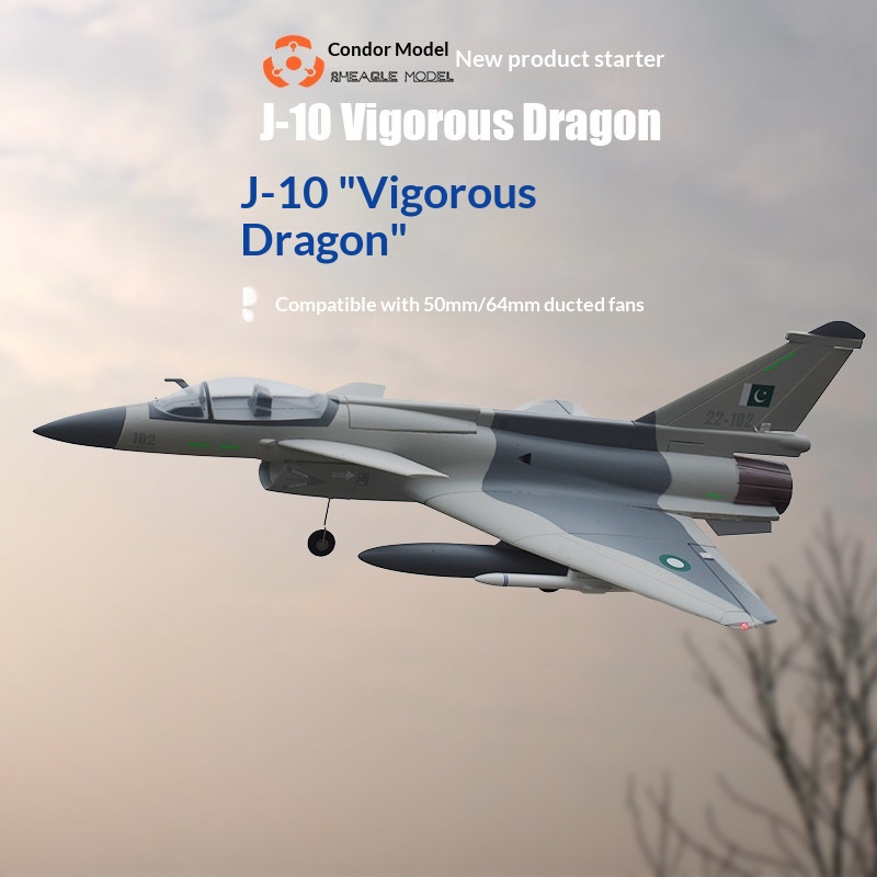 SH-EAGLE MODEL J-10 Vigorous D - Model Kit Jet ulasan dan harga